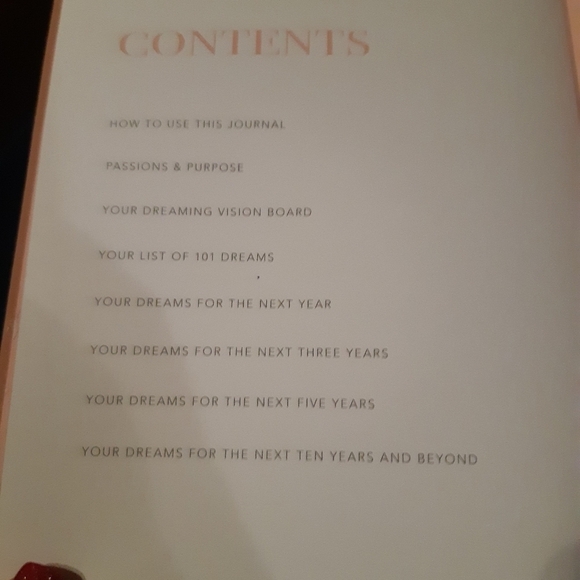 Dreams journal blush pink brand new notebook hardcover NWOT - Picture 4 of 5